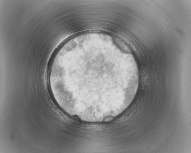 X0000115361076200912151353