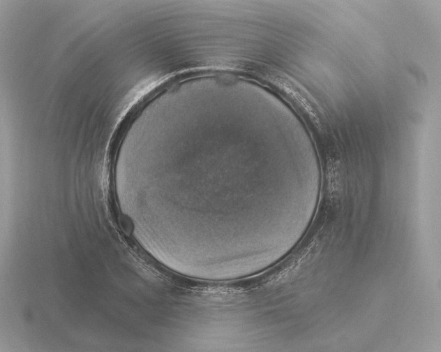 X0000115361077200912151353