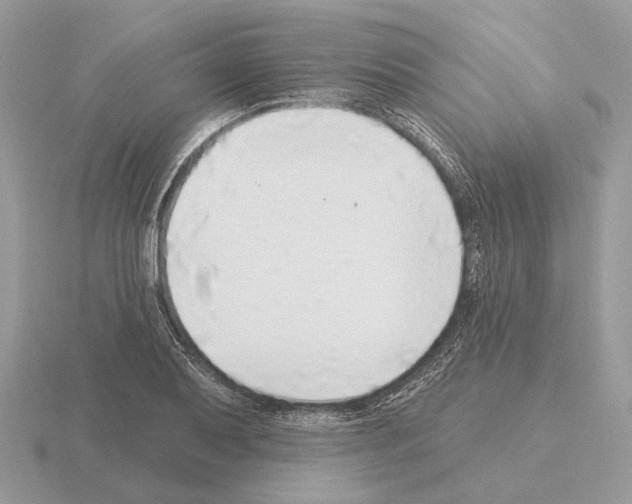 X0000115361079200912151353