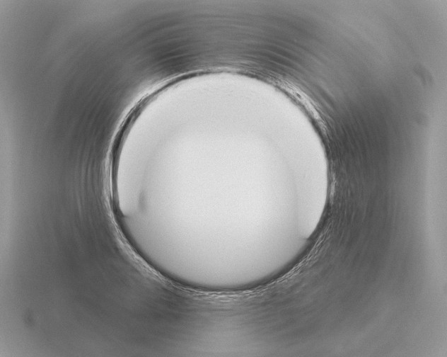 X0000115361080200912151353