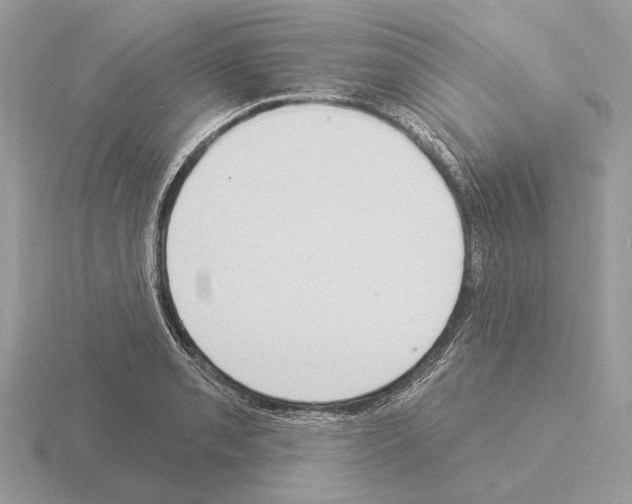 X0000115361085200912151353
