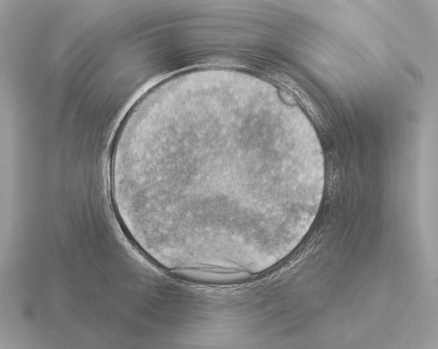 X0000115361092200912151352