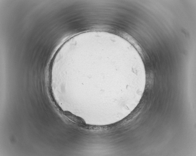 X0000115361099200912151352