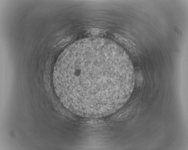 X0000115361105200912151352