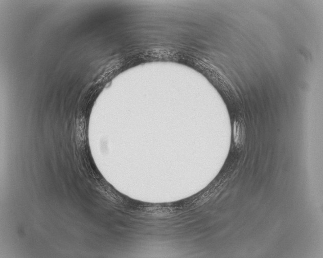 X0000115361107200912151352