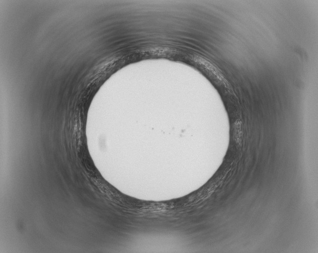 X0000115361111200912151352