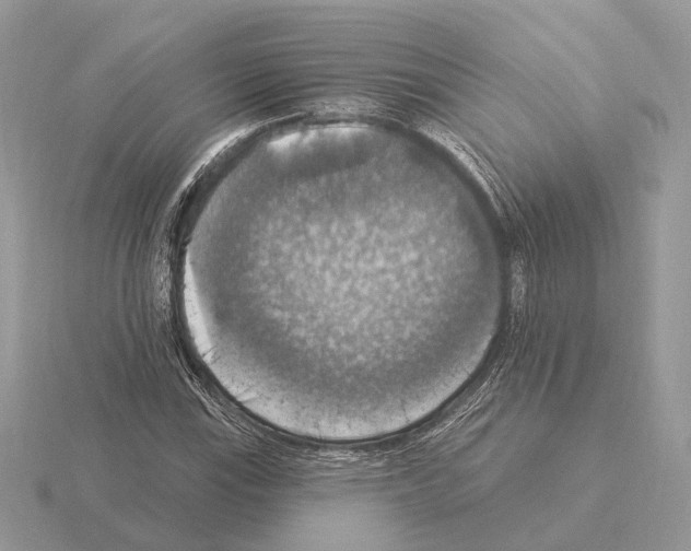 X0000115361115200912151352