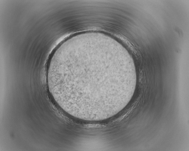 X0000115361118200912151352