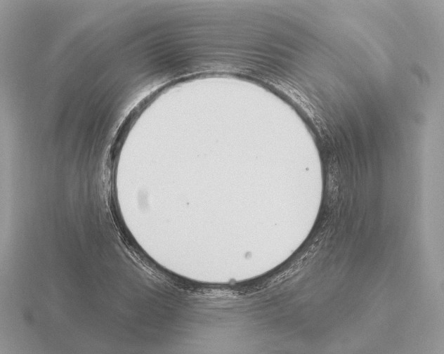 X0000115361119200912151352