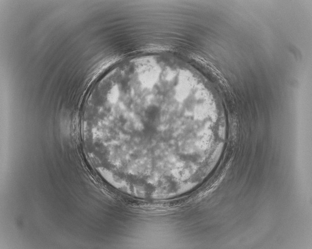 X0000115361121200912151352