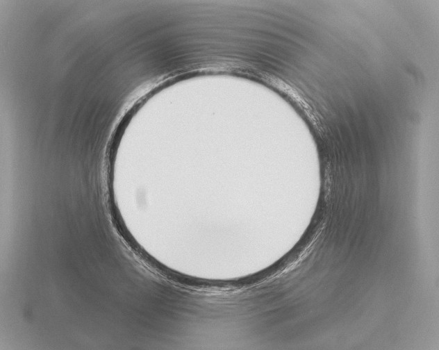 X0000115361122200912151352