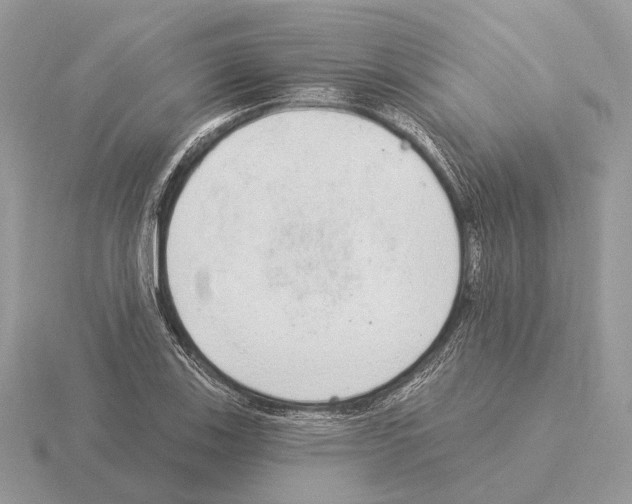 X0000115361123200912151352