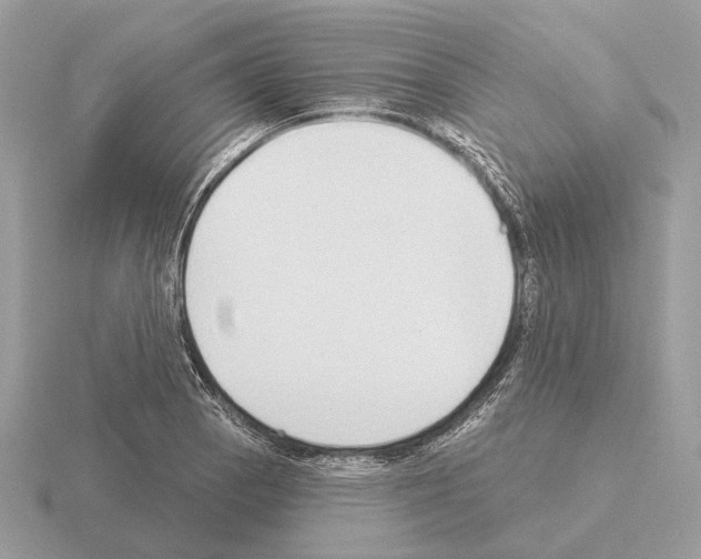 X0000115361129200912151352