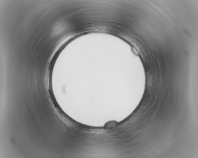 X0000115361131200912151352