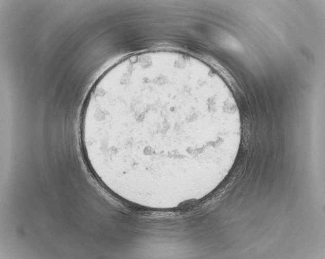 X0000115361142200912151352