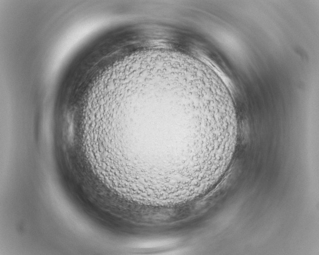 X0000115361150200912151352
