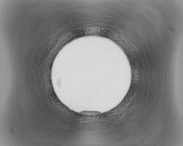 X0000115361153200912151352
