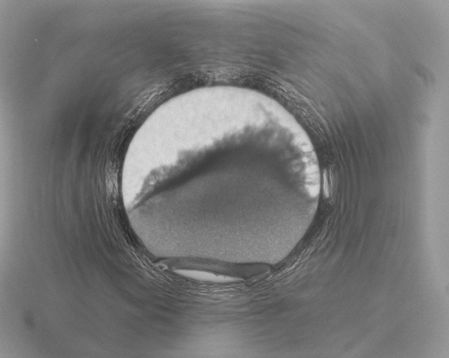 X0000115361155200912151351