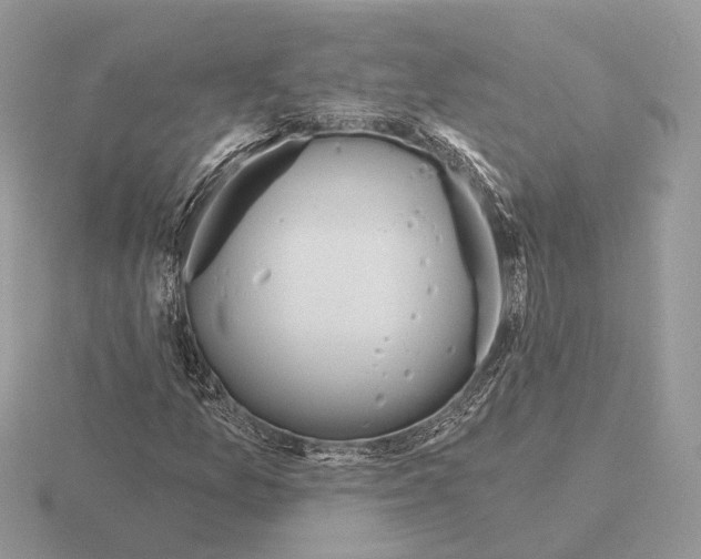 X0000115361157200912151351