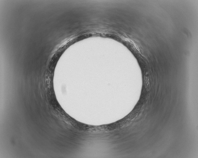X0000115361159200912151351