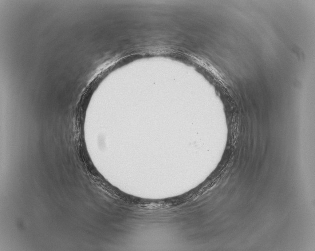 X0000115361160200912151351