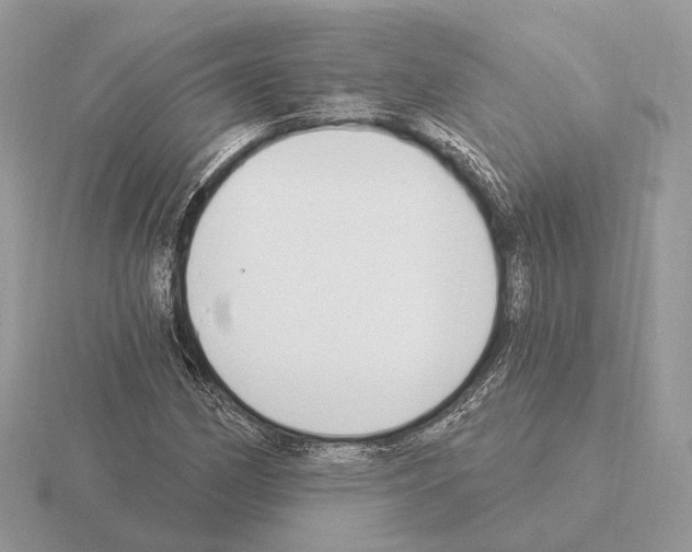 X0000115361162200912151351