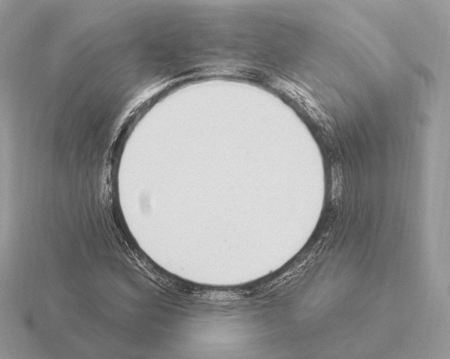X0000115361164200912151351