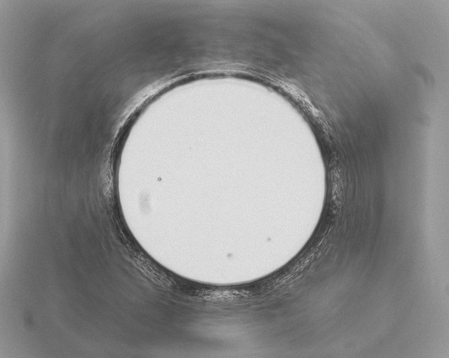 X0000115361167200912151351