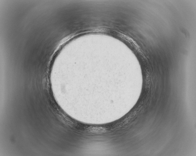 X0000115361168200912151351