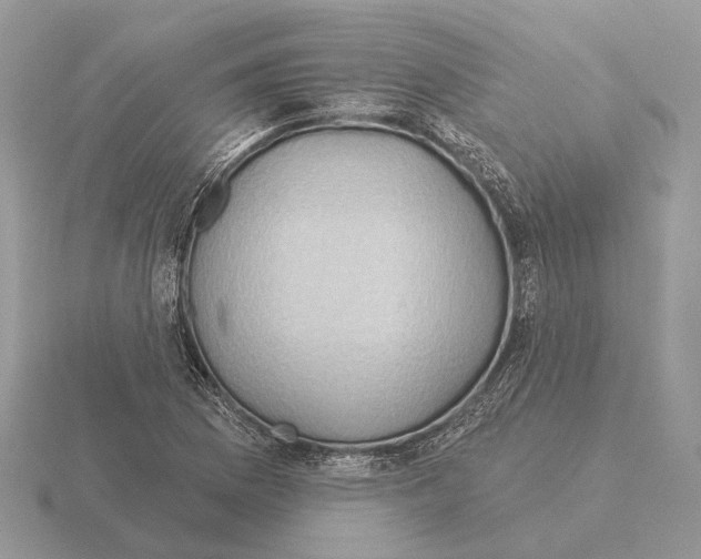 X0000115361169200912151351