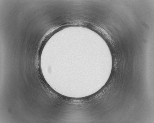 X0000115361172200912151351