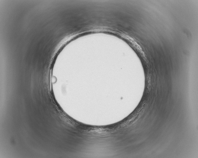 X0000115361175200912151351