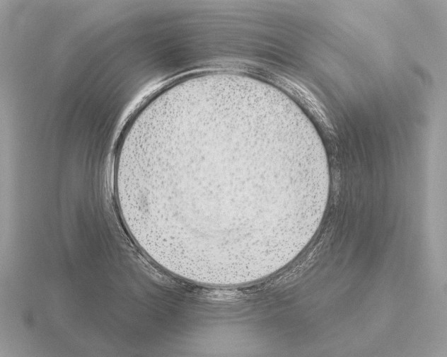 X0000115361180200912151351