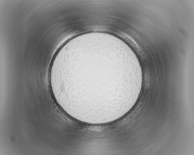 X0000115361182200912151351