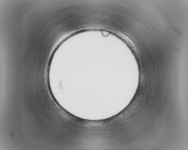 X0000115361183200912151351