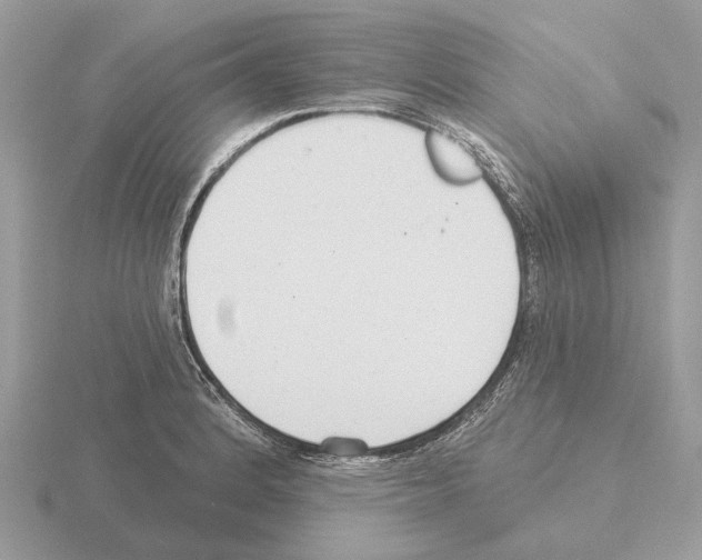 X0000115361184200912151351