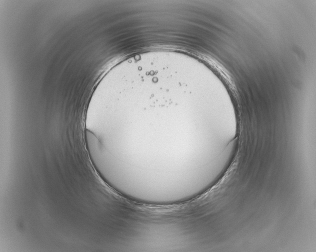 X0000115361193200912151351