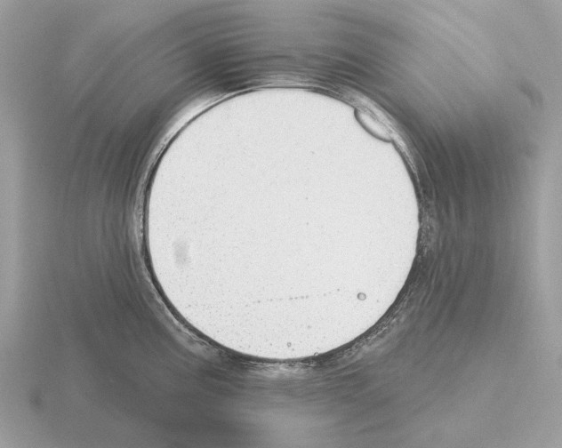 X0000115361195200912151351