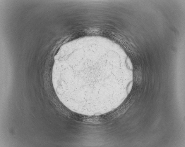 X0000115361201200912151350