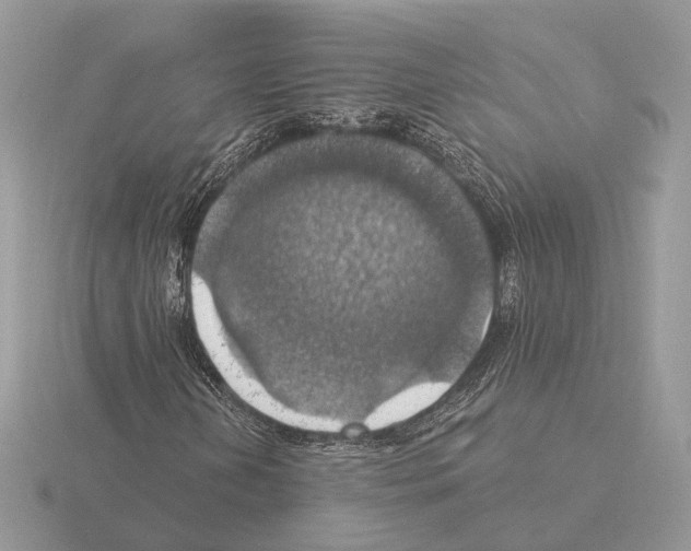 X0000115361202200912151350