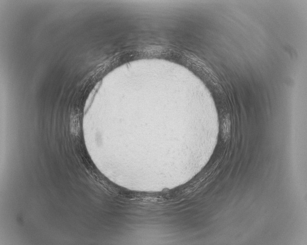 X0000115361204200912151350