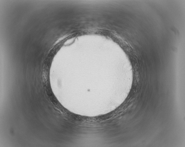 X0000115361206200912151350