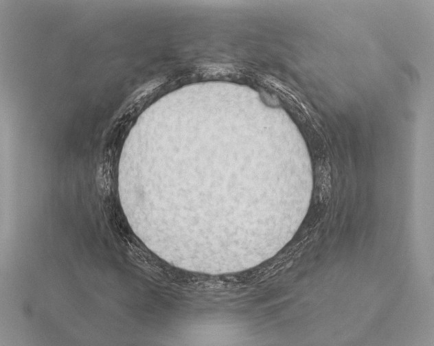 X0000115361207200912151350