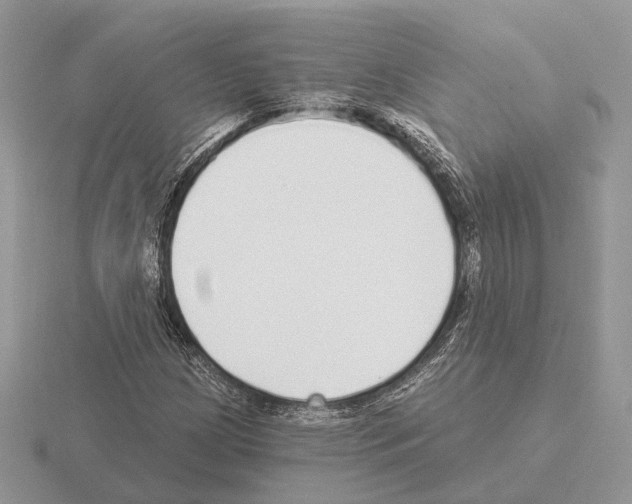 X0000115361209200912151350