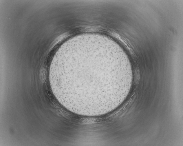 X0000115361211200912151350