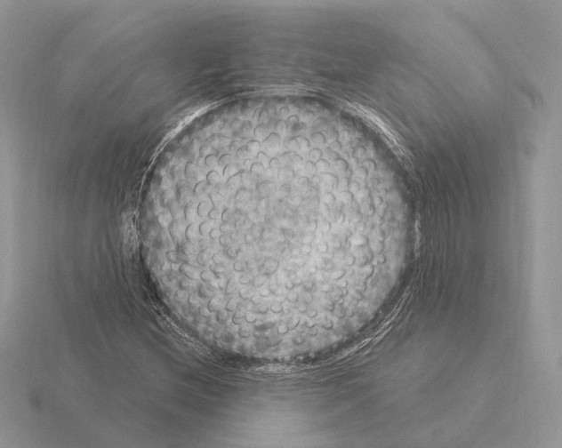 X0000115361212200912151350