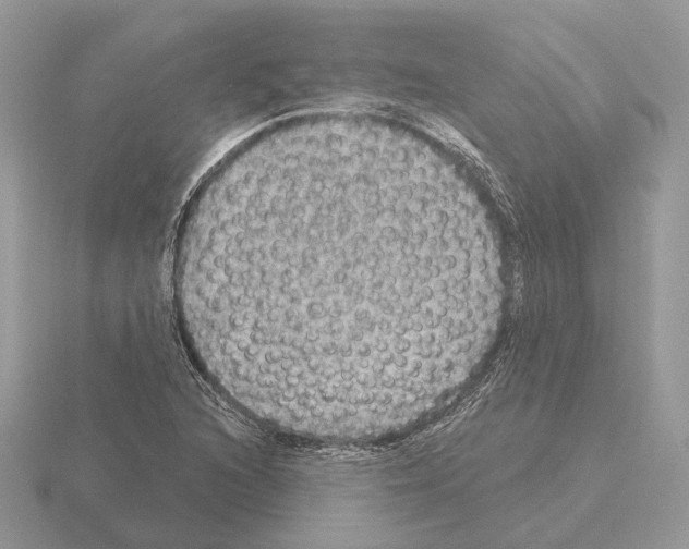 X0000115361216200912151350