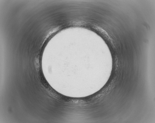 X0000115361218200912151351