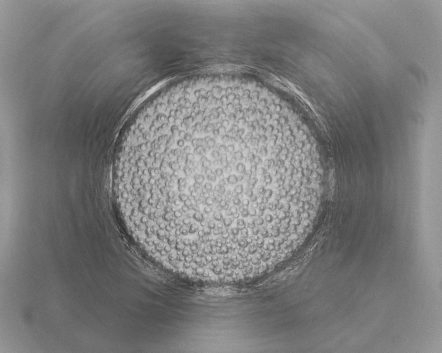 X0000115361220200912151351