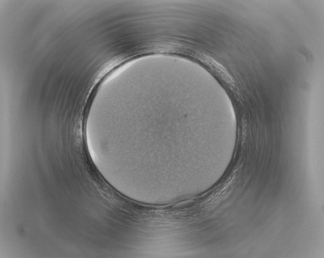 X0000115361226200912151351